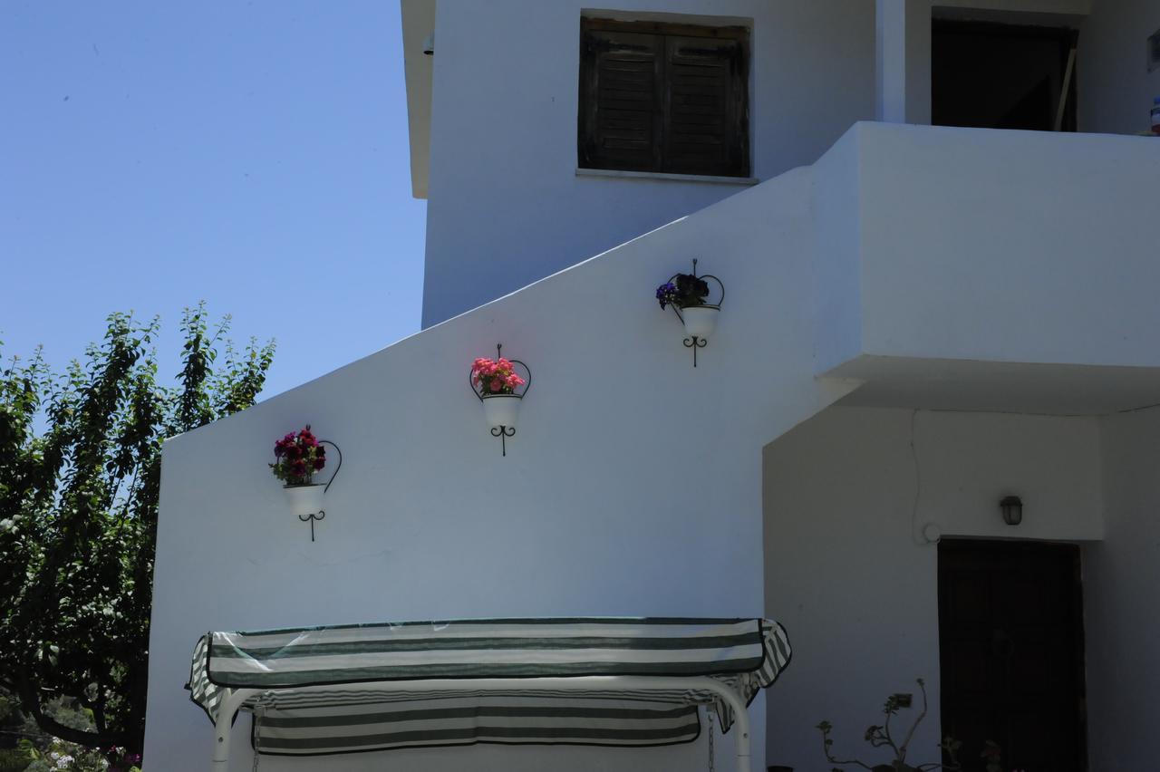 Camelia Studios مدينة سكياثوس المظهر الخارجي الصورة